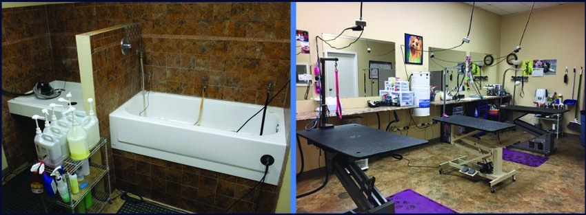 unique pet boutique photo