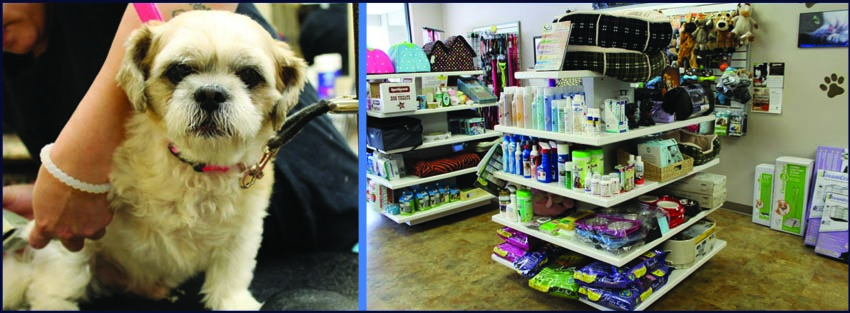 unique pet boutique photo