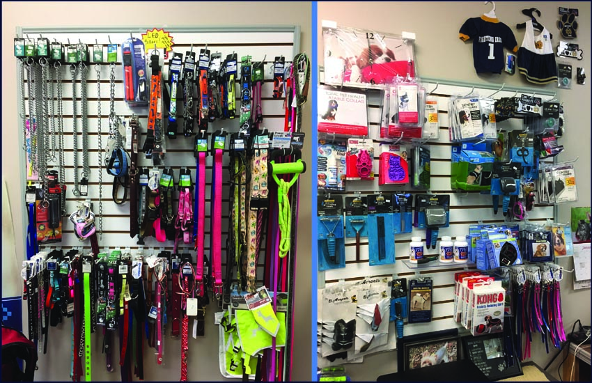 unique pet boutique plymouth graphic